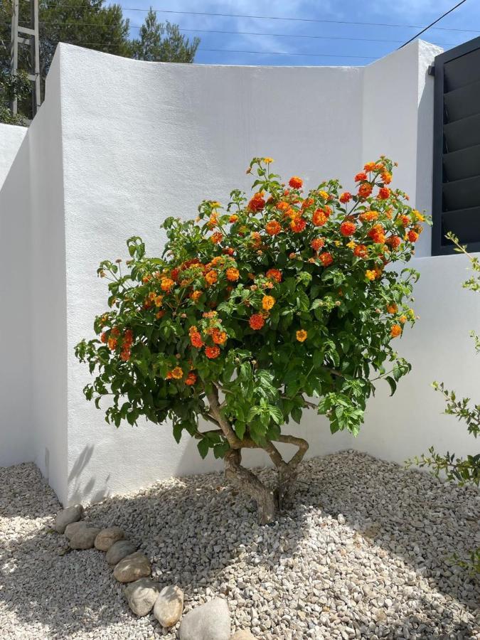 Casa Belle Villa Javea Exterior photo