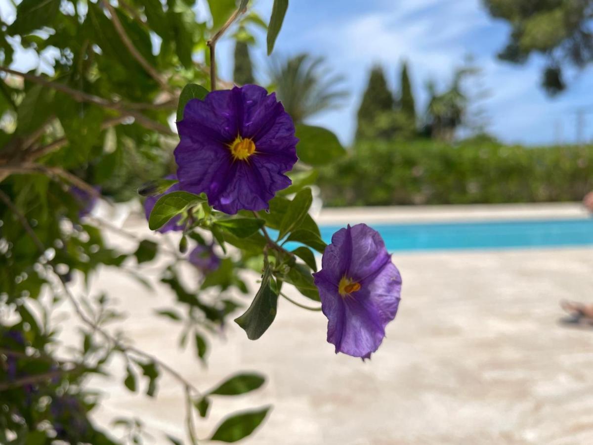 Casa Belle Villa Javea Exterior photo